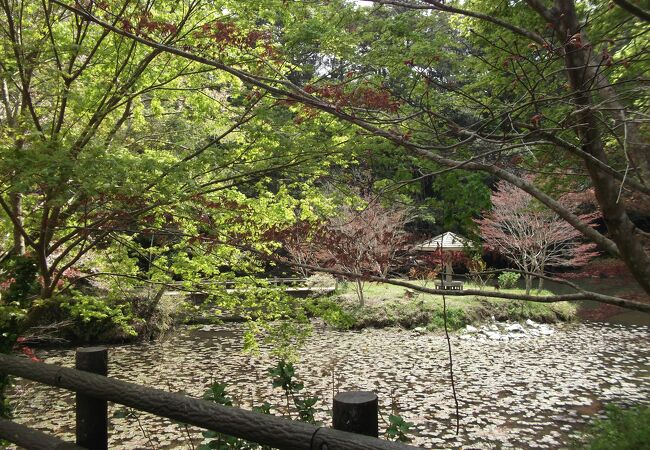 小松寺