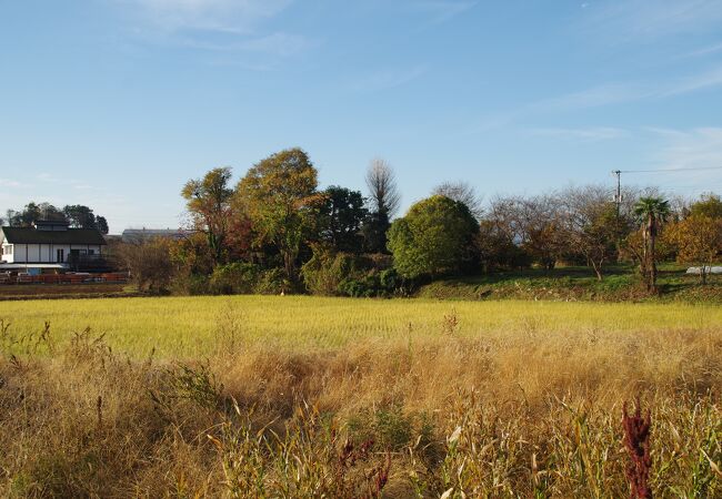 源実朝公御首塚