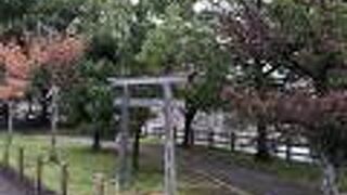 小さい公園ですが