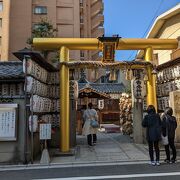 京都の金運神社で参拝してきました