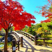 紅葉が大変美しい庭園