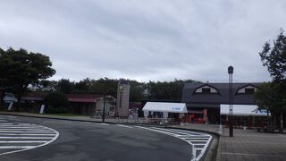 静岡県の地域共通クーポンを使いました