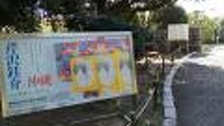 建物は白井晟一設計によるの鉄筋コンクリート製の名建築。噴水のある池が素敵。