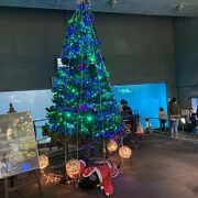 海と水族館とクリスマス