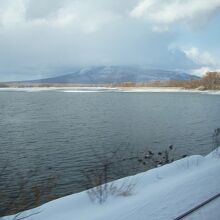 駒ケ岳は雲の中でした