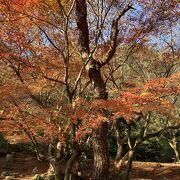 1年ぶりの法輪寺