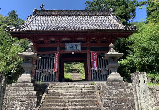 歴史ある古刹ですが雑然...ウサギが飼育崩壊