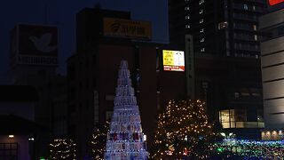 幼稚園児らの協力による、ペットボトルツリーが印象的 