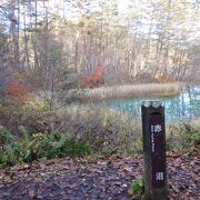 五色沼湖沼群の沼の中の一つです。