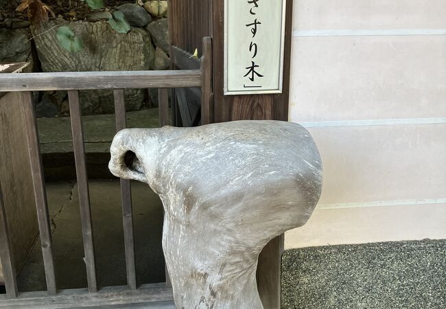 熊野詣でができる神社