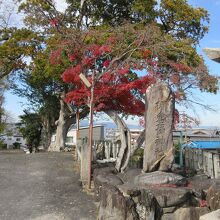 棚倉孫神社