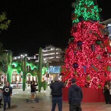 …夕方からのライトアップもきれい。