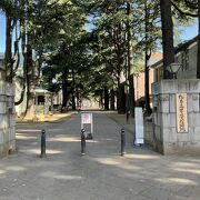 旧制高等学校資料館とともに子どもと体を動かすには最適な場所