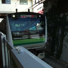 濃淡の緑色のラインです