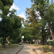 川端康成文学館へ行くのに歩きました ♪