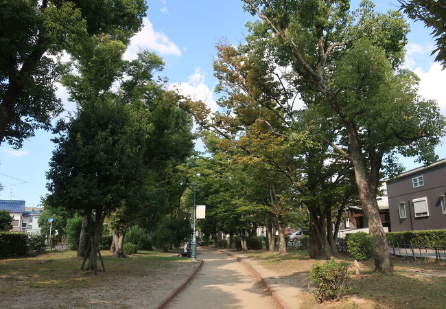 川端康成文学館へ行くのに歩きました ♪