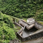 大和ダム クチコミ・アクセス・営業時間｜奄美大島【フォー