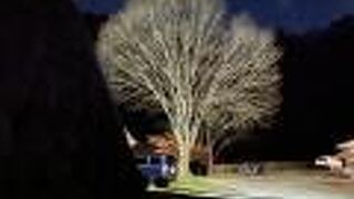 はこだたみキャンプ場