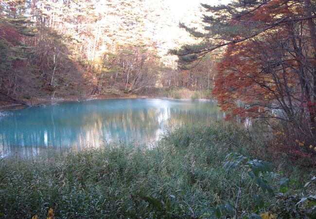 木々の間から見えるきれいな青色の水をたたえた小さな沼です。