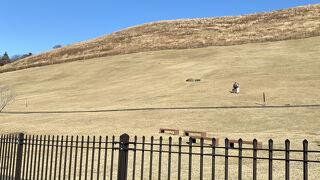 牧歌的な雰囲気