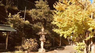 イチョウが色合いが良い感じ