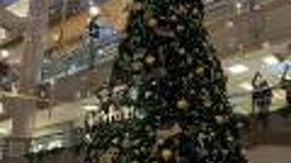 今年はハリーポッター