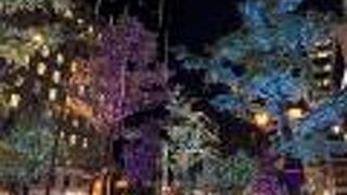 いろいろな色のイルミネーションが楽しめました