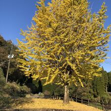 通潤用水の円形分水