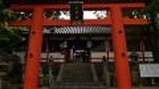 ならまちを見下ろす