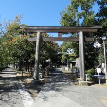 荏原神社鳥居