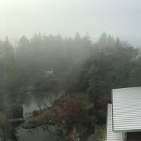 客室からの朝の眺望。