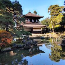 逆さ慈照寺になるかも？