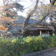 里見公園紫烟草舎