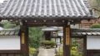 見ごたえのあるお庭が美しい