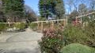  市川市散策(2)・国府台城で里見公園に寄りました