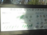 都立林試の森公園