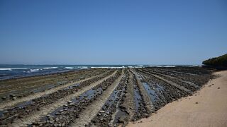 宮崎のパワースポット