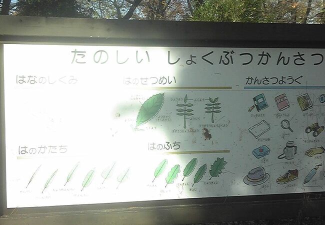 都立林試の森公園