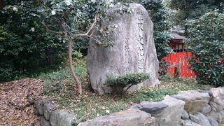 　糺ノ森は是非歩いてみて！