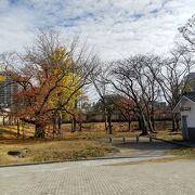 福岡城跡のオアシス