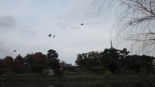 これが近いかも