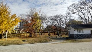 福岡城跡のオアシス