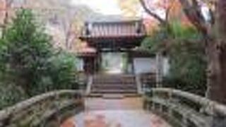 寂しいという印象しか・・・