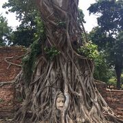 ワット・マハタート 仏頭