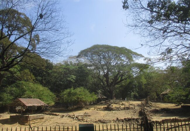 ヤンゴン動物園