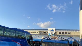 日本海の鮮魚、福井県お土産、海鮮グルメ