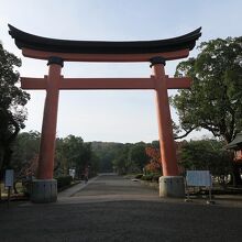 やっと「表参道大鳥居」