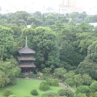 庭園側の部屋からの眺め