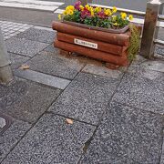 歩道上の花壇に癒されます