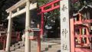 赤い造りなのが印象的